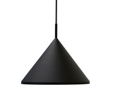 Pakabinamas šviestuvas Sutton