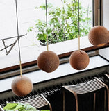 Pakabinamas šviestuvas Terra