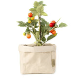 Maišelis Paper Bag Large Quarzo, 19 x 13.5 x H33 cm