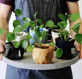 Maišelis Paper bag Basic Picollo, 8 x 8 x H15 cm