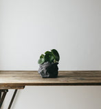 Maišelis Paper bag Basic Picollo, 8 x 8 x H15 cm