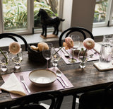 Padėklas Placement Tec, 48 x 33 cm