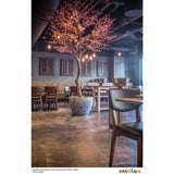 Pakabinamas šviestuvas Lome Cluster